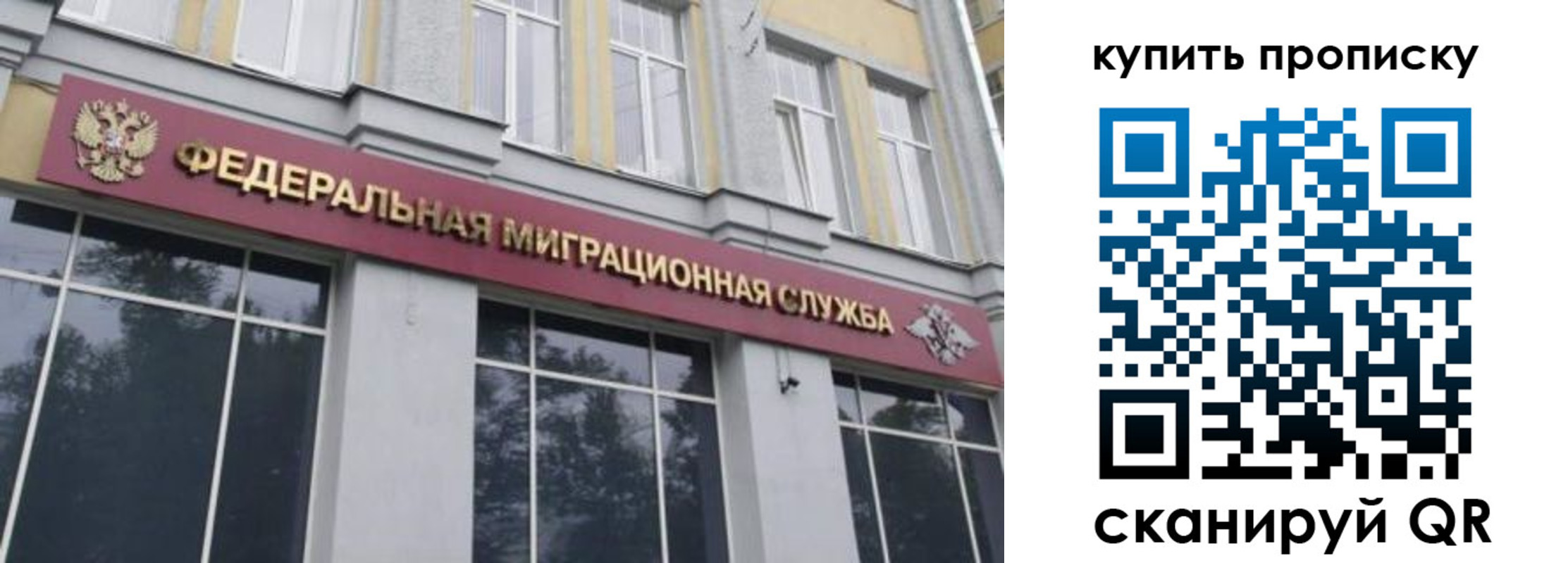 прописка поиск в Карабаново